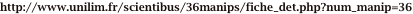 shapeimage_2_link_6